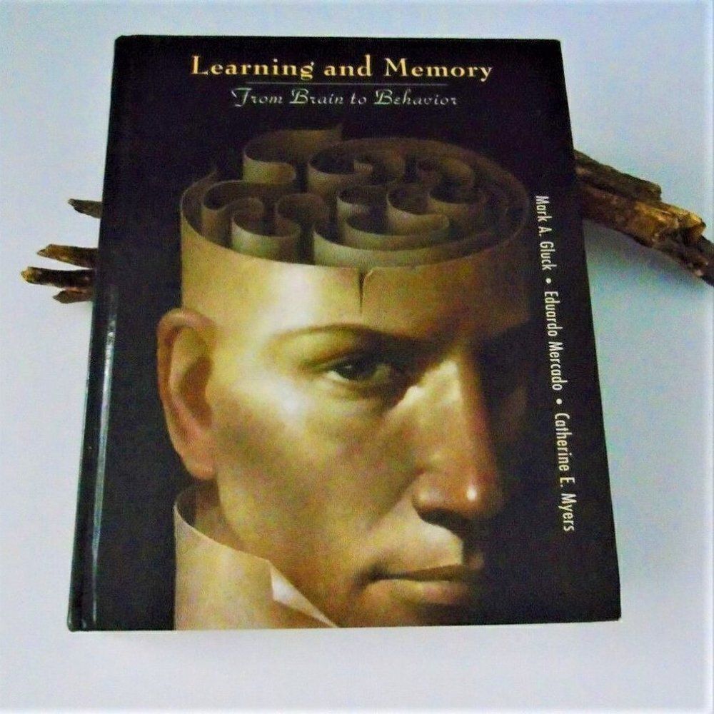 Learning & Memory From Brain to Behavior by Gluck - Picture 4 of 6